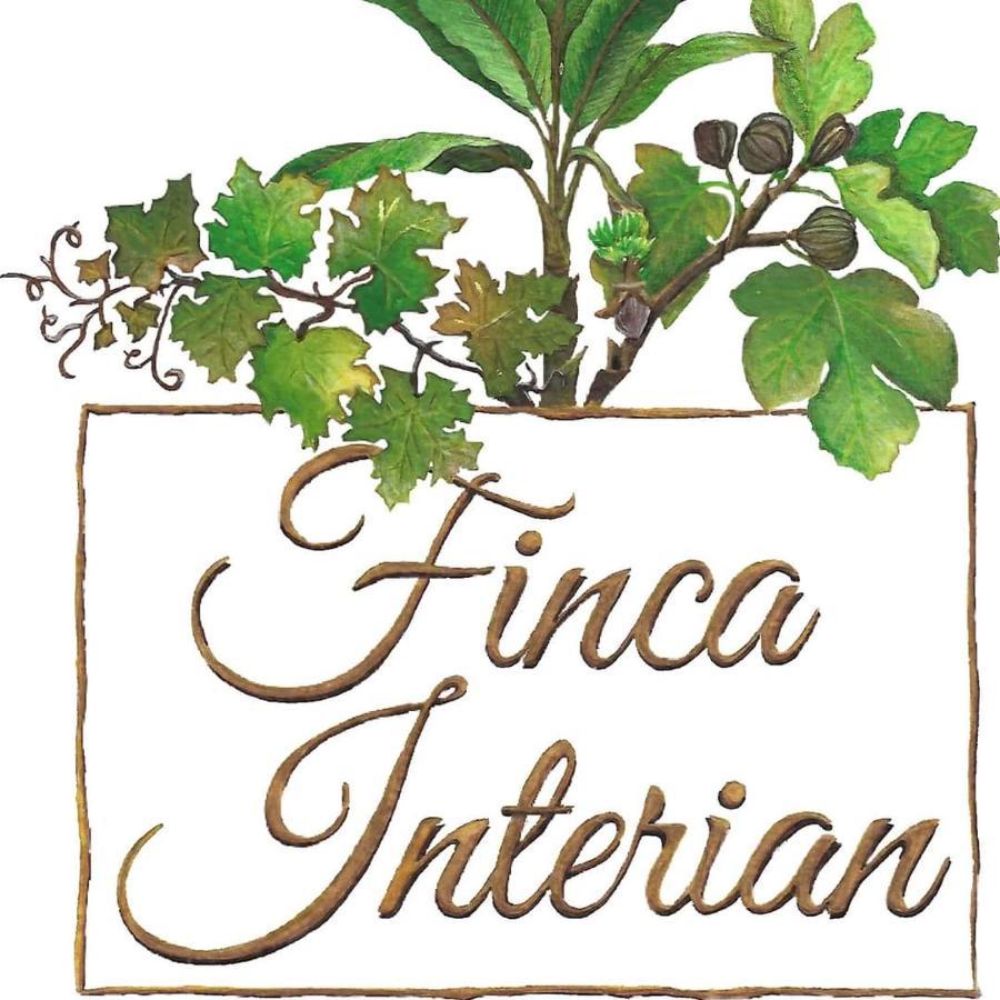 Finca Interian Los Silos Exteriér fotografie